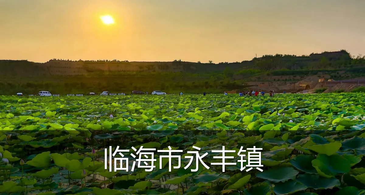 临海市永丰镇